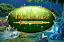 My Lands